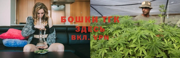 метадон Ельня