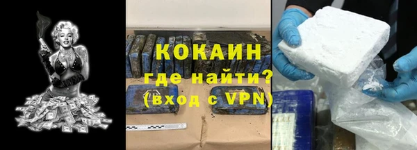 гидра Елизово