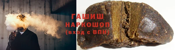 гидра Елизово