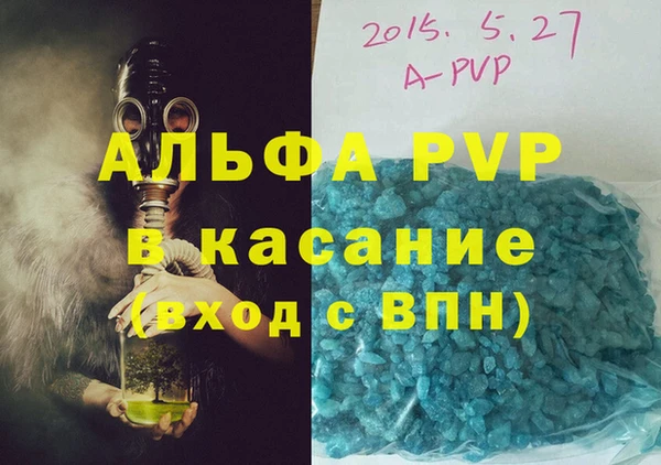 гидра Елизово