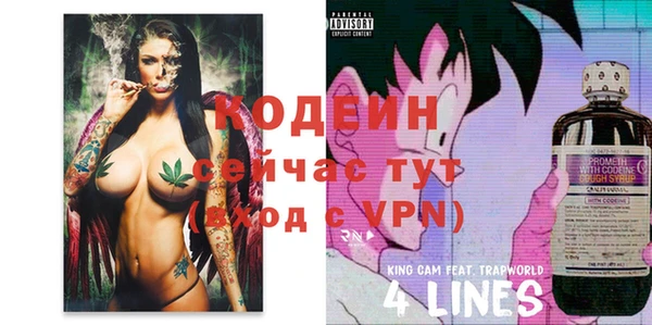 метадон Ельня