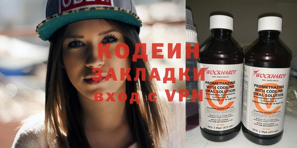 гидра Елизово