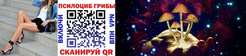 Галлюциногенные грибы Cubensis  купить закладку  блэк спрут рабочий сайт  Зеленокумск 